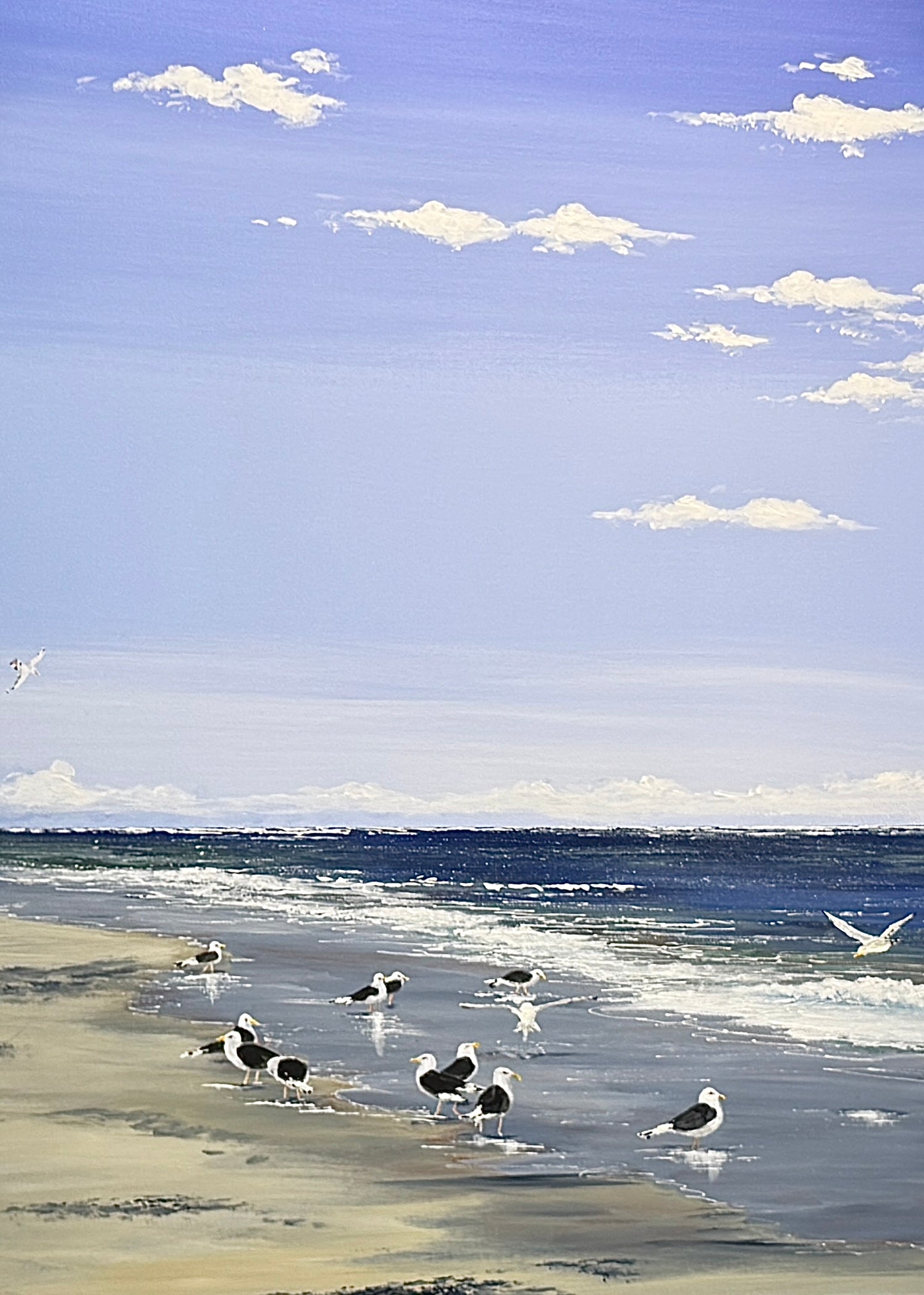 Mågerne på stranden.