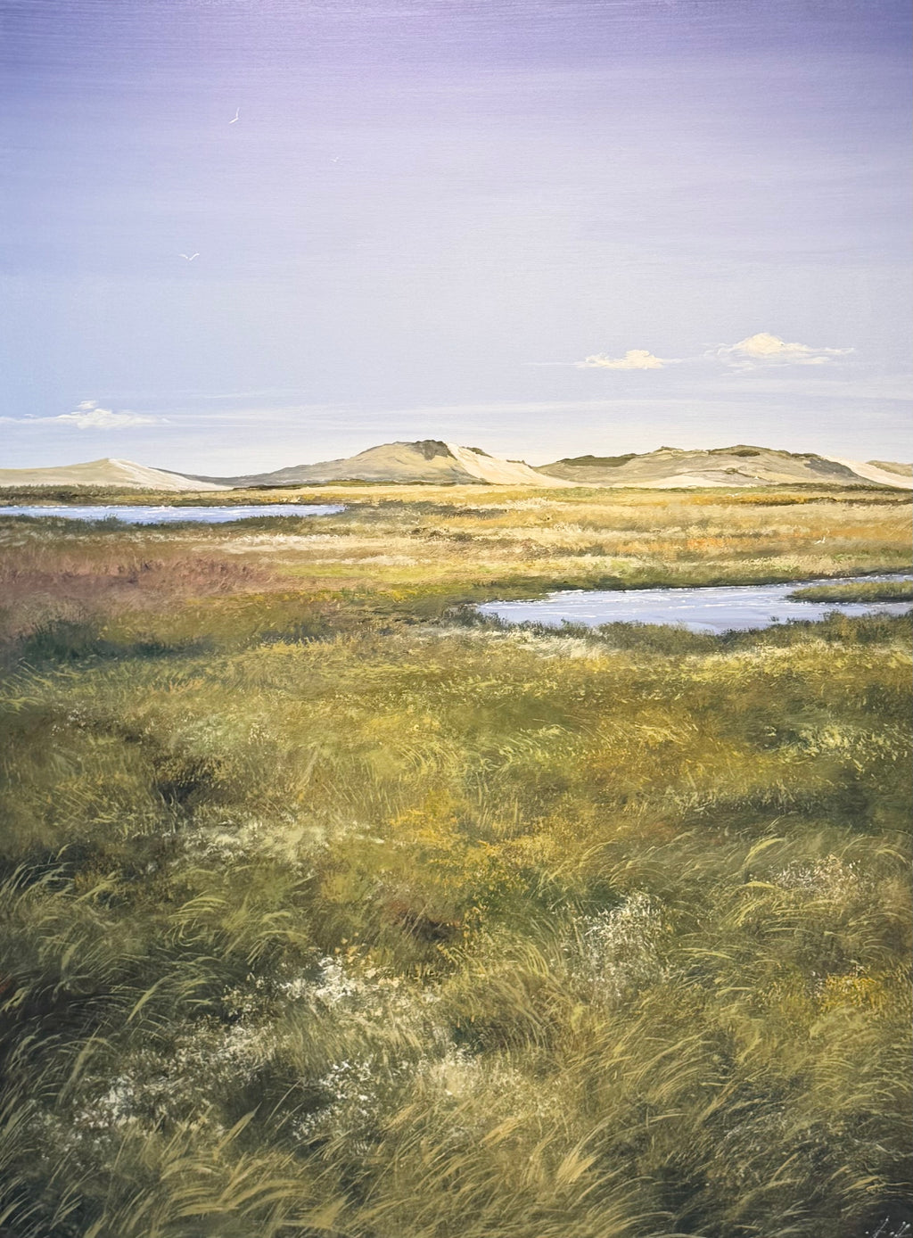 Råbjerg Mile